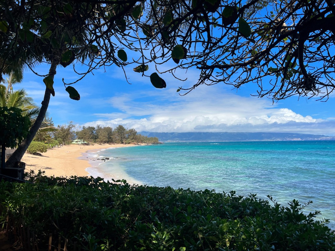 24 Hours on&nbsp;Maui